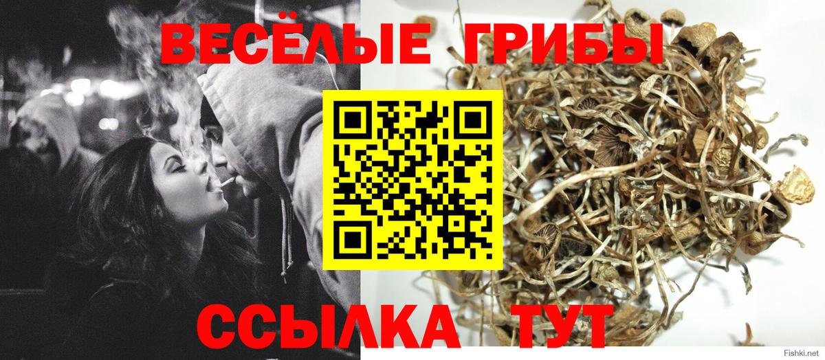 Свободный  Псилоцибиновые грибы мицелий  Вход с VPN 